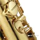 ANTIGUA TS4348CU-CR-GH MODEL 25 cryogenic Bb Tenor Saxophone