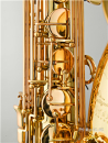 Antigua pro one Classic antique AS6200CA-CR-GH Eb-alto saxophone