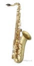 ANTIGUA B-Tenor-Saxophon TS4248CB-GH Handgebürstet,...