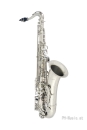 ANTIGUA B-Tenor-Saxophon TS4248SL-GH versilbert, POWER...