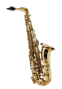Forestone FOASGL-GX Gold lacquered Alto Saxophone