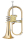 XO Brass Bb Flügelhorn, lackiert, Goldmessing