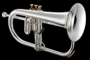 XO Brass Bb Flügelhorn, versilbert, Goldmessing XO1646RS