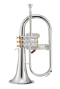 XO Brass Bb Flügelhorn, versilbert, Goldmessing XO1646RS