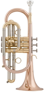 Arnolds & Sons® Cornet - Terra gold brass lacquered