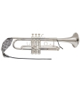 BG A31T Mundrohr-Durchziehwischer für Trompete