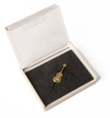 Anstecknadel - Pin - Guitar in Box (gold colored)
