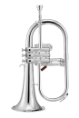 XO Brass Bb Flügelhorn, versilbert, Goldmessing XO1646RSS