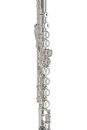 GEWA Germany Flute FL650E Ambition