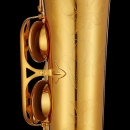 ANTIGUA 5200 CLASSIC PRO Serie TS5200LQ-GH B-Tenor-Saxophon