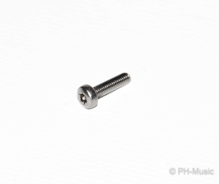 Torx-Schraube M2,5x10 für Minibal-Gelenke (1 Stück)