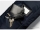 ROI Cross Bag C/B Querflöten Tasche