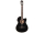 GREG BENNETT Classical Guitar with TA + Cutaway, Black CNGT2CE-BK