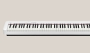 Casio Digital Compact Piano CDP-S110