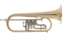 Melton MWF12GT-L Konzert-Flügelhorn, Goldmessing lackiert
