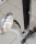 BELCANTA BASS-CLARINET German to deep C ACL699F-OK