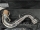 BELCANTA BASS-CLARINET German to deep C ACL699F-OK