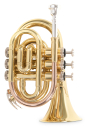 Roy Benson Bb pocket trumpet PT-101 Clear lacquered