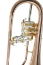 Roy Benson Bb flugelhorn FH-302G