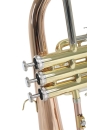 Roy Benson Bb flugelhorn FH-302G