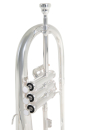 Roy Benson Bb flugelhorn FH-302S