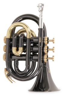 Roy Benson Bb pocket trumpet PT-101 in 3 colors