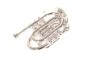 Roy Benson Bb pocket trumpet PT-101S silver plated
