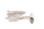 Roy Benson Bb pocket trumpet PT-101S silver plated