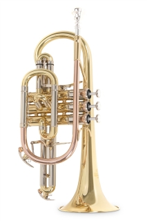 Roy Benson cornet CR-302