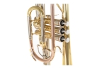 Roy Benson cornet CR-302