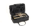 Roy Benson cornet CR-302