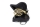Roy Benson childrens Bb French horn HR-212B