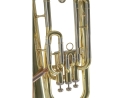 Roy Benson Bb Euphonium EP-301