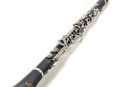 Roy Benson CG-220 deutsch Bb-Klarinette