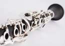 Schreiber D41 B 2.0, grenadilla wood, 22/6 keys, silver-plated