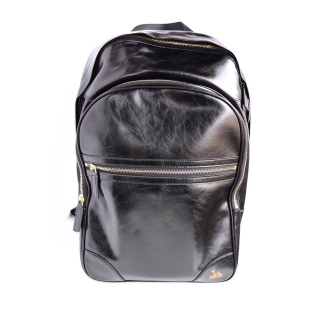 Fluterscooter FL-SCO BLACK MATTE BACKPACK (Flute case)