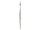TOMASI TFL-09L-OLB Vienna transverse flute, SILVER LIGHT headjoint olive wood  embouchure plate, ring keys, B-foot