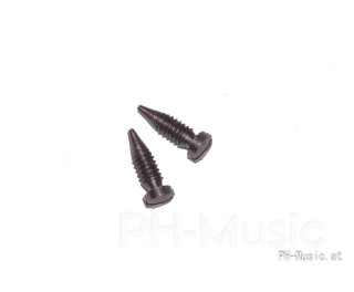 Spitzschraube mit Kopf 2,3x6,5-M2 (2 Stück)