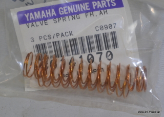 Ventil-Federn für Yamaha TRP/CR/FH (3 Stück)