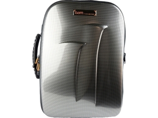 Silver Carbon